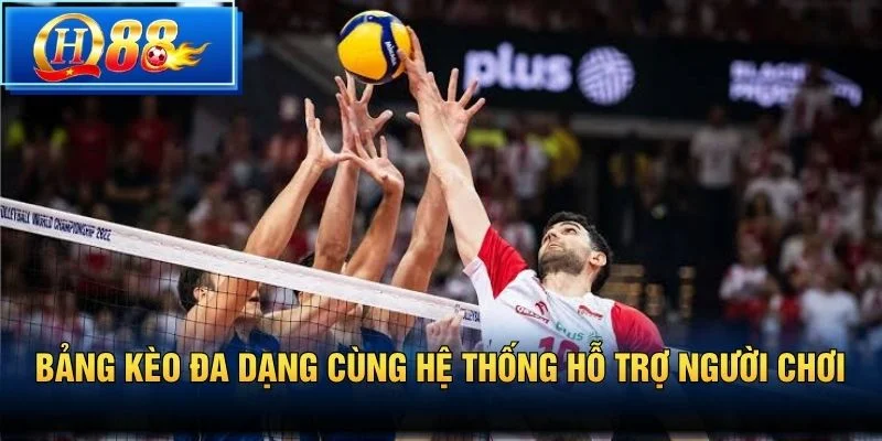 Bảng kèo đa dạng cùng hệ thống hỗ trợ người chơi