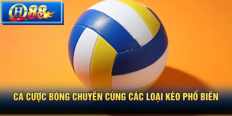 Cá Cược Bóng Chuyền cùng các loại kèo phổ biến