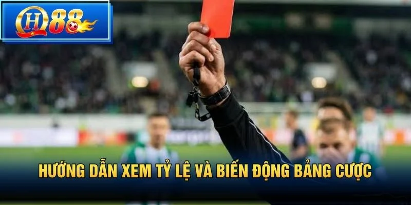 Hướng dẫn xem tỷ lệ và biến động bảng cược